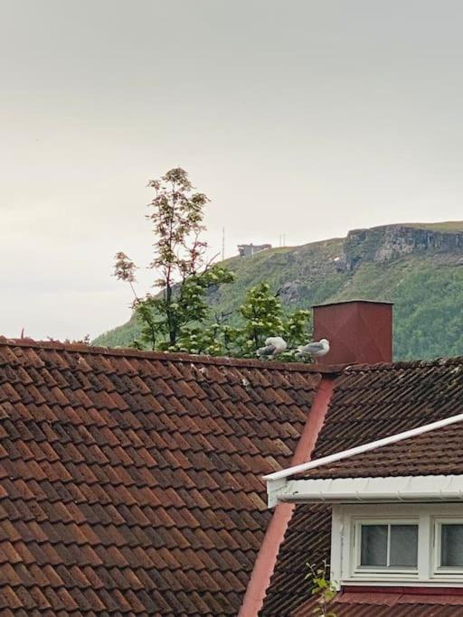 Praktisk Med Gratis Parkering Sentralt