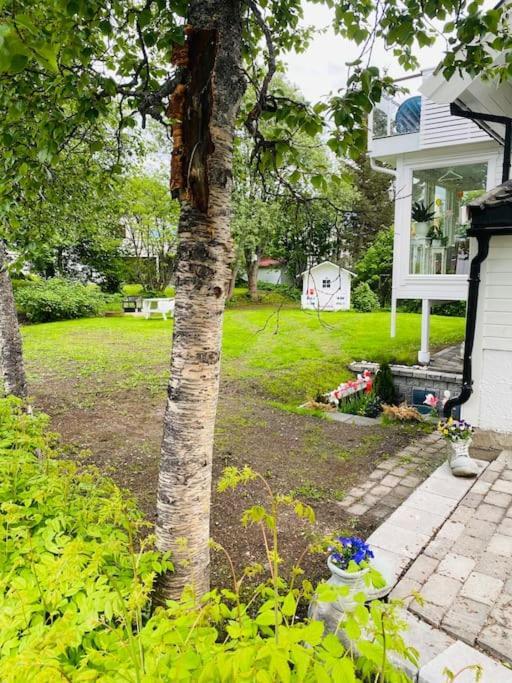 Praktisk Med Gratis Parkering Sentralt Apartment Tromso
